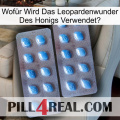 Wofür Wird Das Leopardenwunder Des Honigs Verwendet viagra4